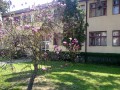 09042010455.jpg